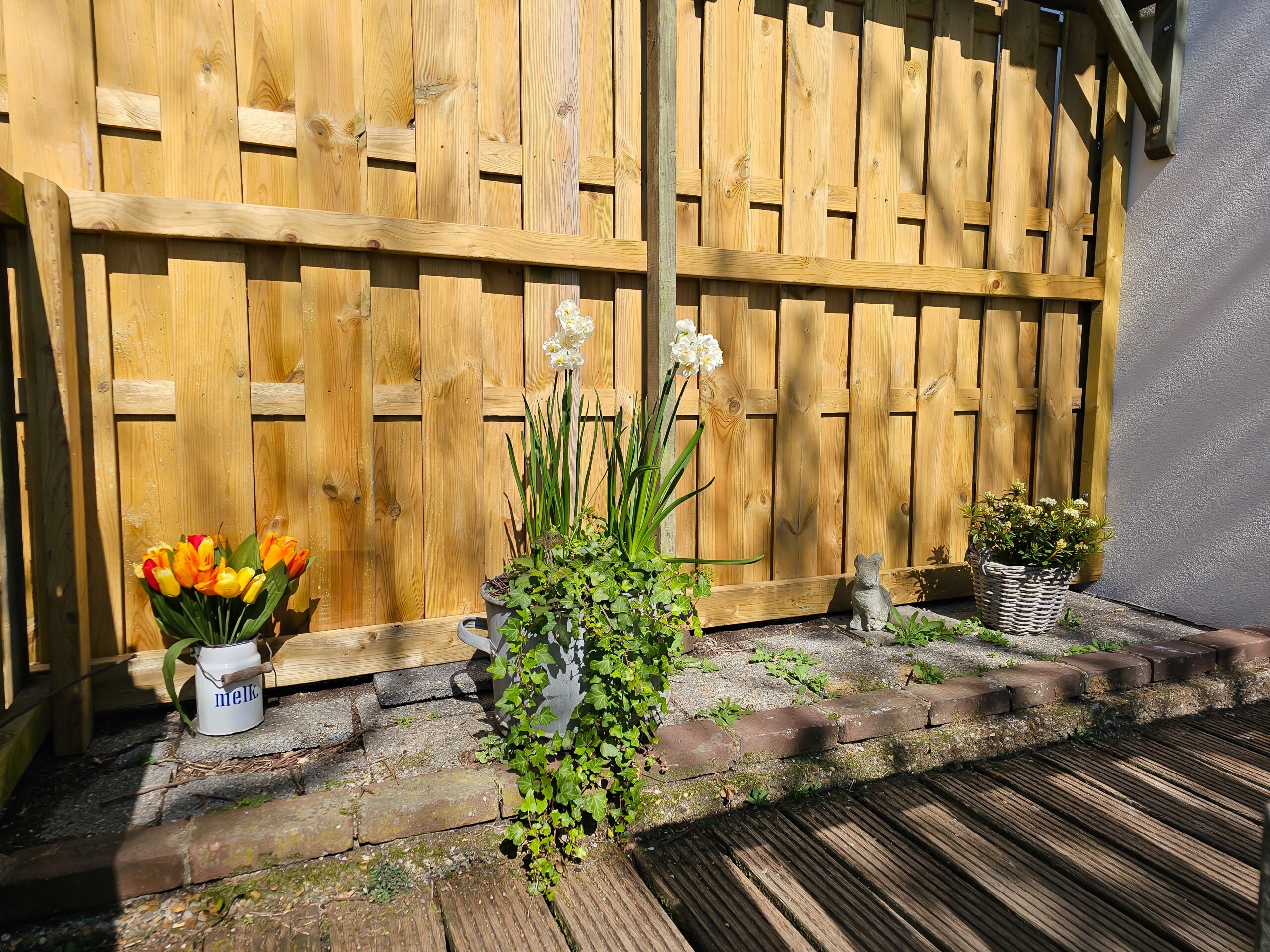 planten-domburg-walcherenvakanties